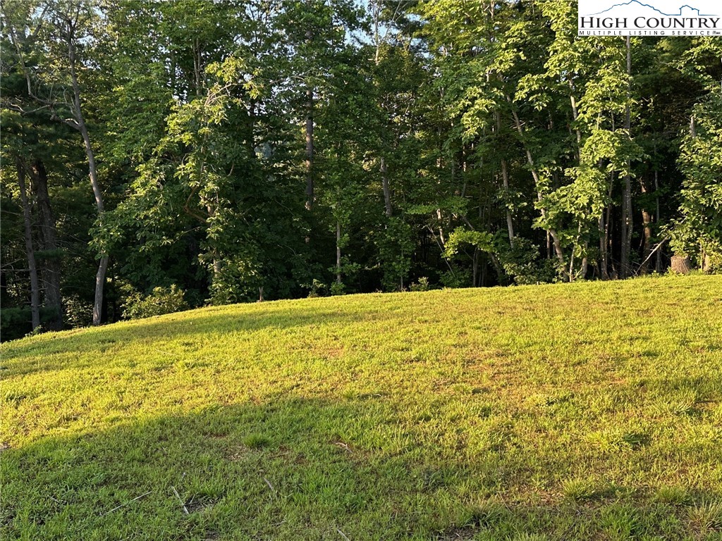 15 Little Rock Canyon Road Lenoir, NC 28645 - Photo 4 of 9