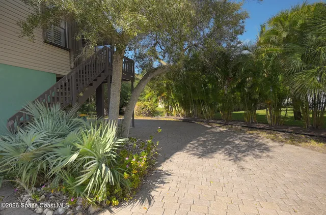 a view of a yard with plants and trees