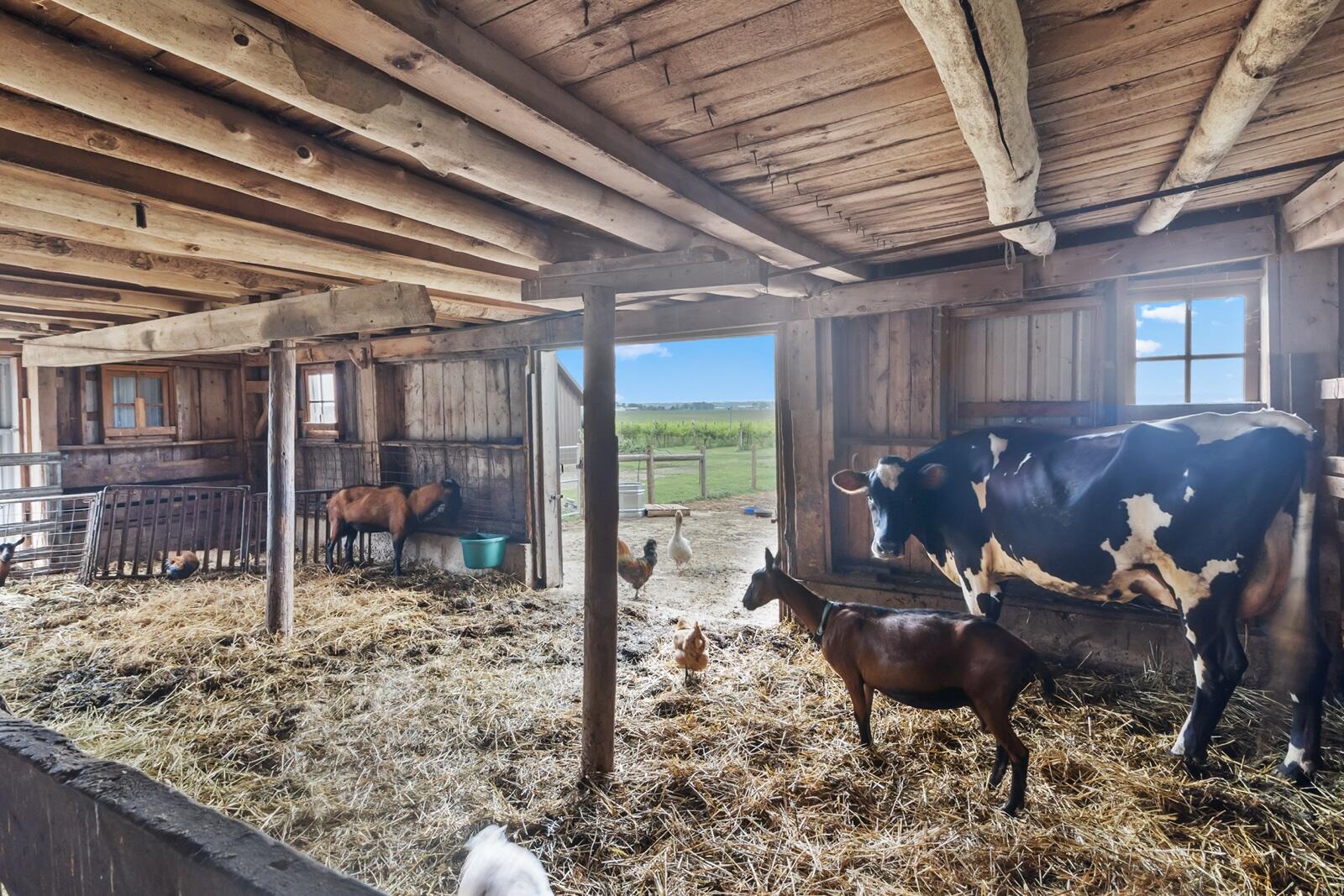 W5837 County Rd A Sugar Creek, WI 53121 - Photo 15 of 79 ff7