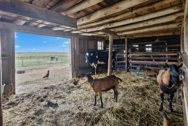 $950,000 | W5837 County Rd A, Sugar Creek, WI 53121