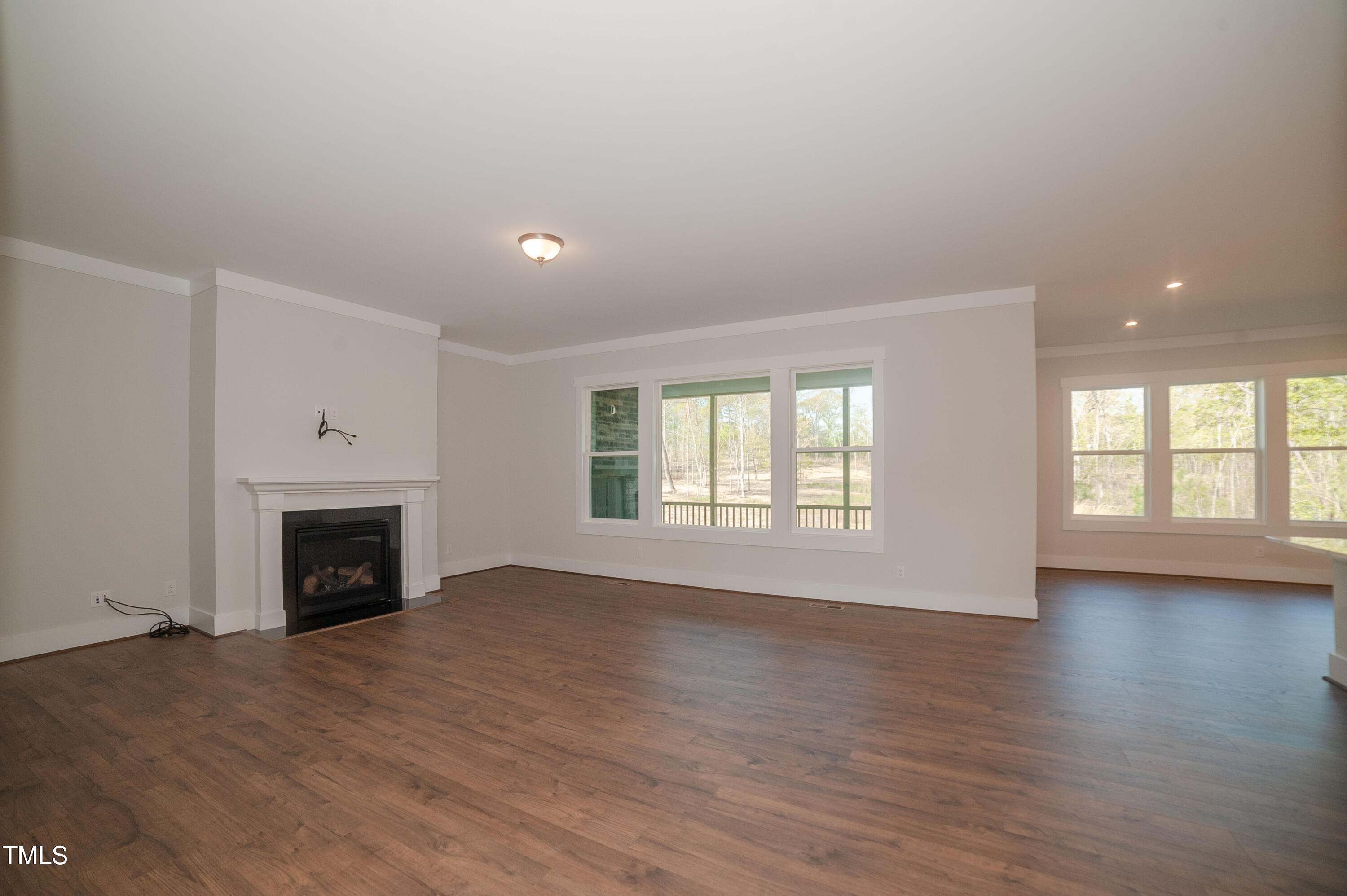 208 Streamside Drive Angier, NC 27501 - Photo 13 of 35 WFDS-0112-00_Champlain A_Family Room (7)