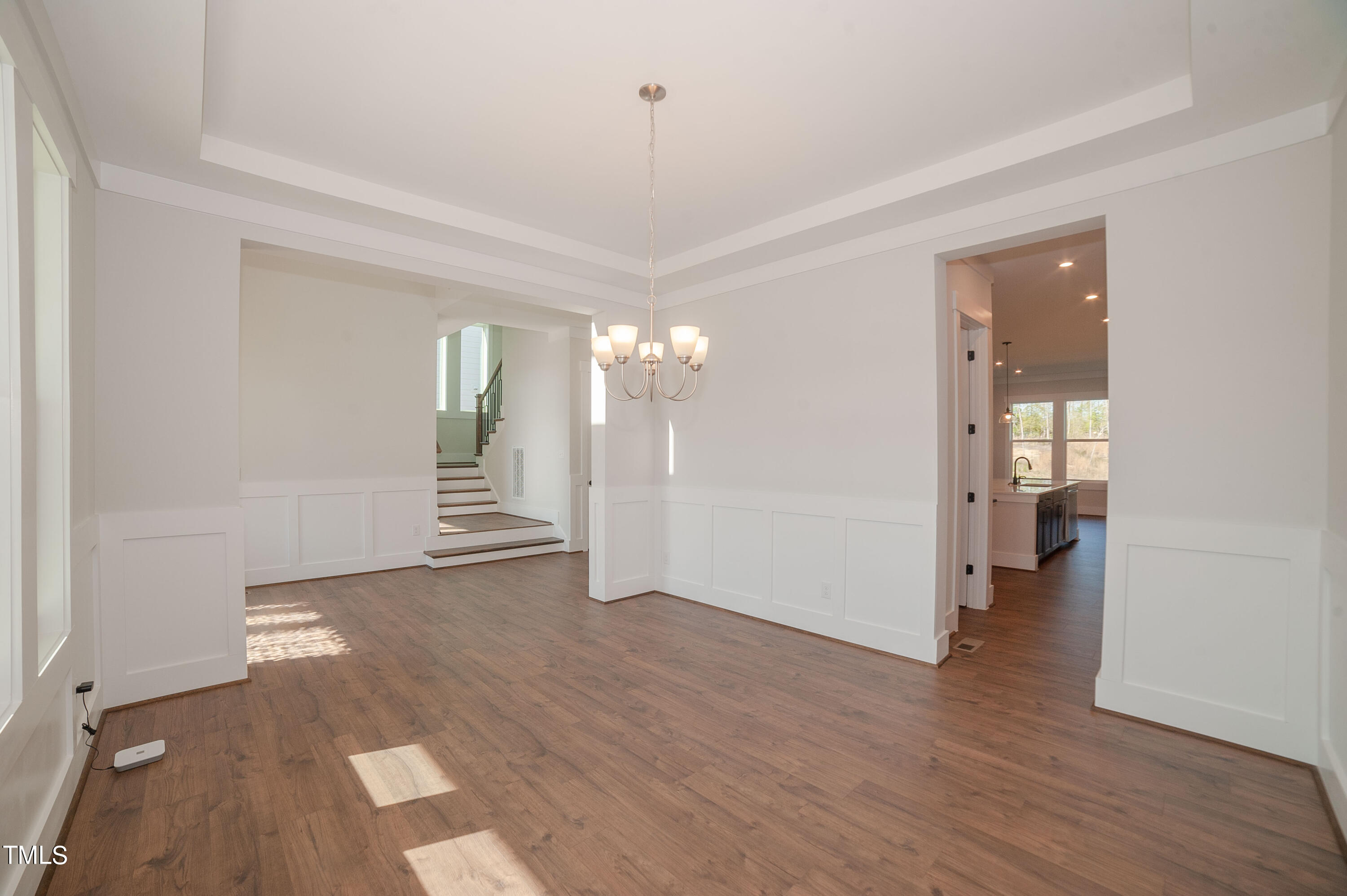 208 Streamside Drive Angier, NC 27501 - Photo 10 of 35 WFDS-0112-00_Champlain A_Dining Room (3)