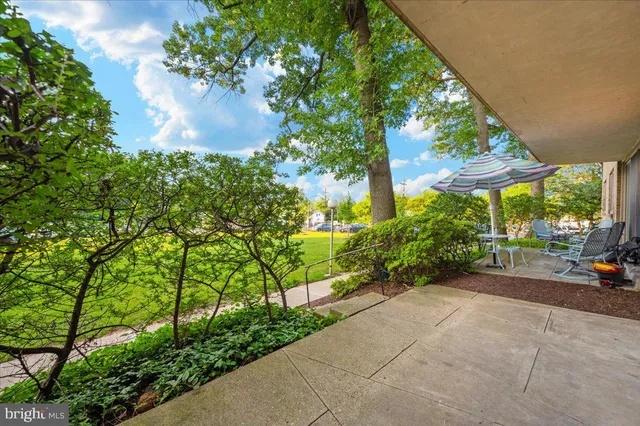 a view of a garden with patio