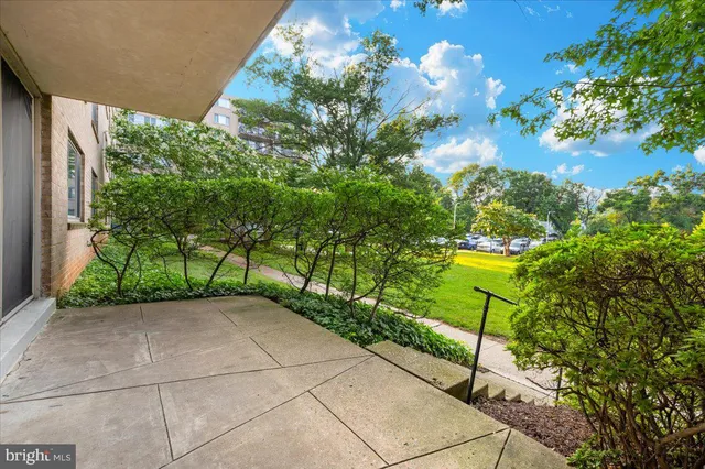 a view of a garden with a pathway