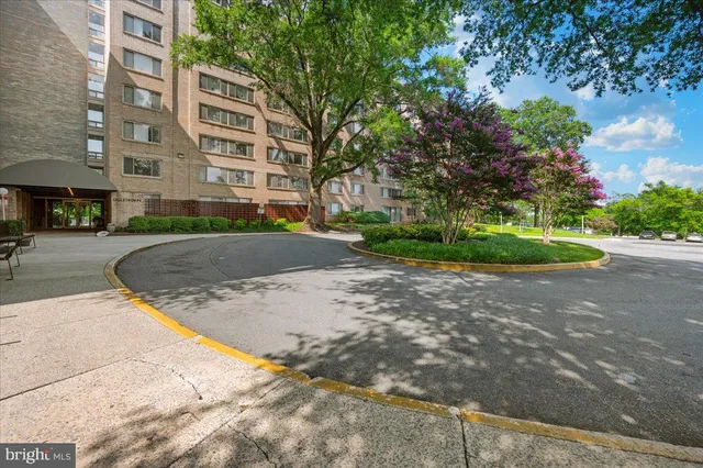 a view of street with large trees