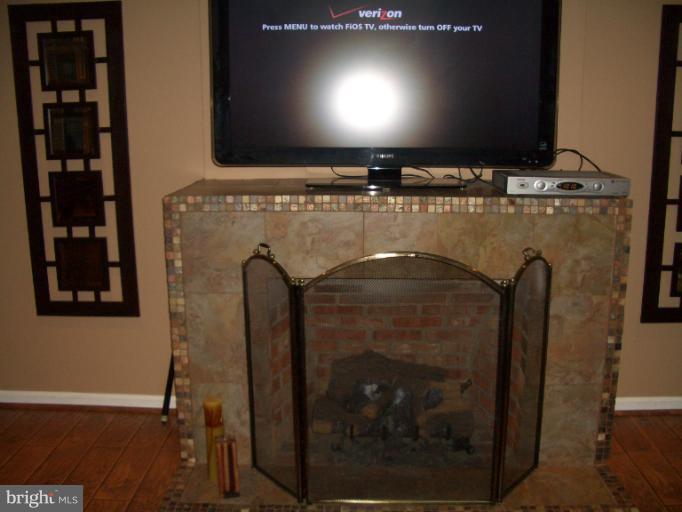 Family Room Fireplace