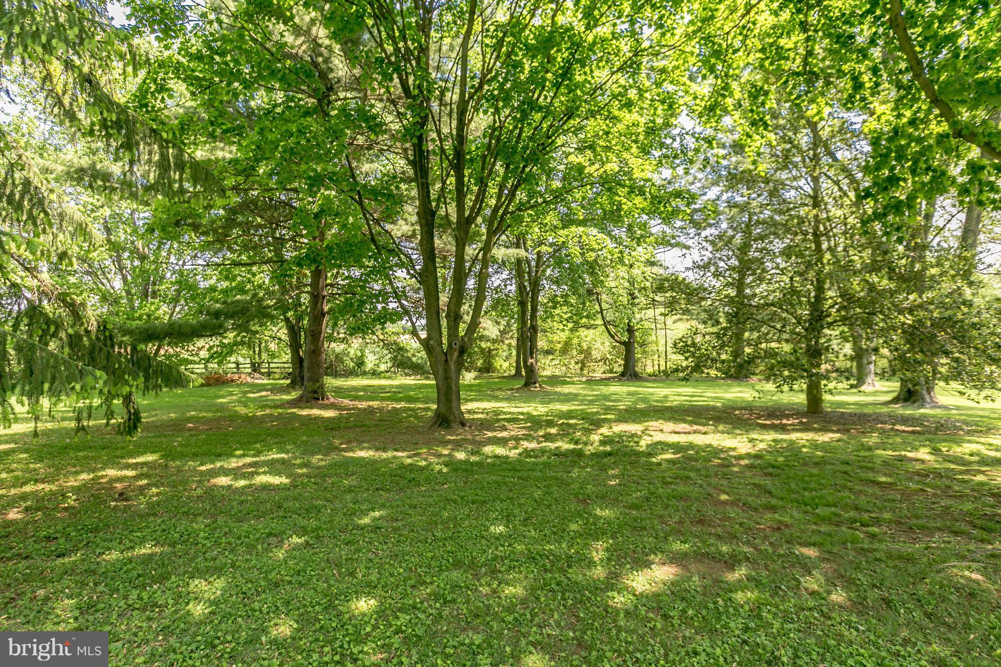 13219 Fork Road Baldwin, MD 21013 - Photo 29 of 30 Exterior (General)