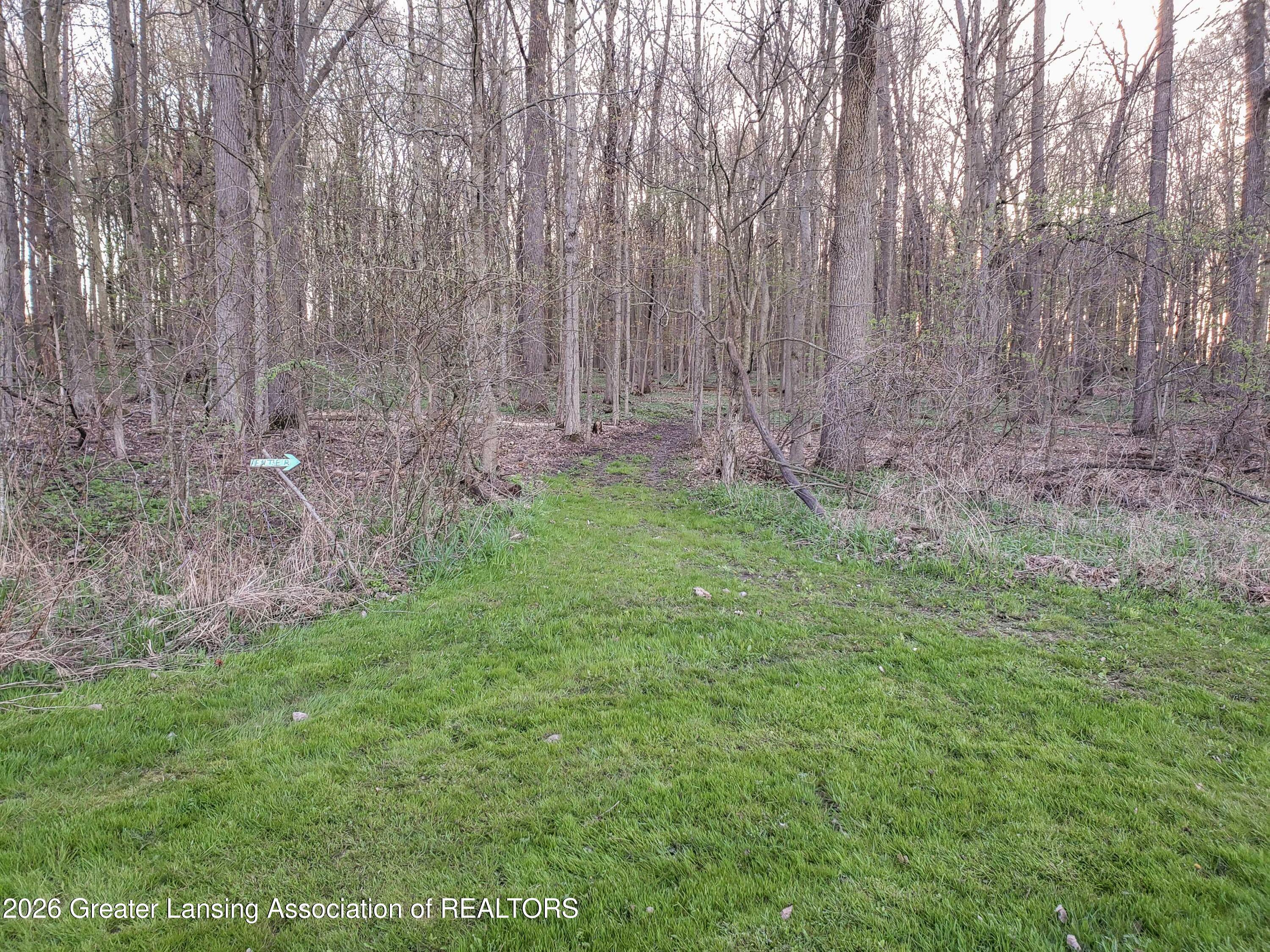 1416 South Ainger Road Charlotte, MI 48813 - Photo 65 of 74 1416 S Ainger Rd, Charlotte-70