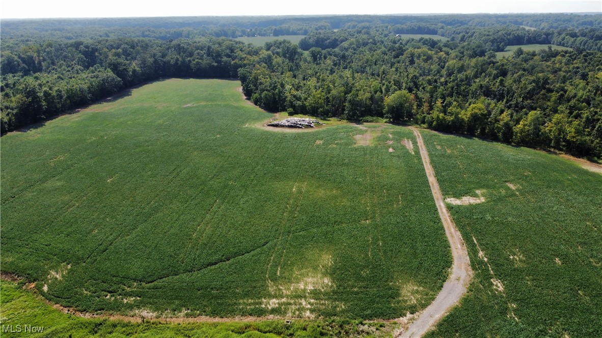 225 St Route Diamond, OH 44412 - Photo 1 of 21 Aerial view of property's location featuring a forest