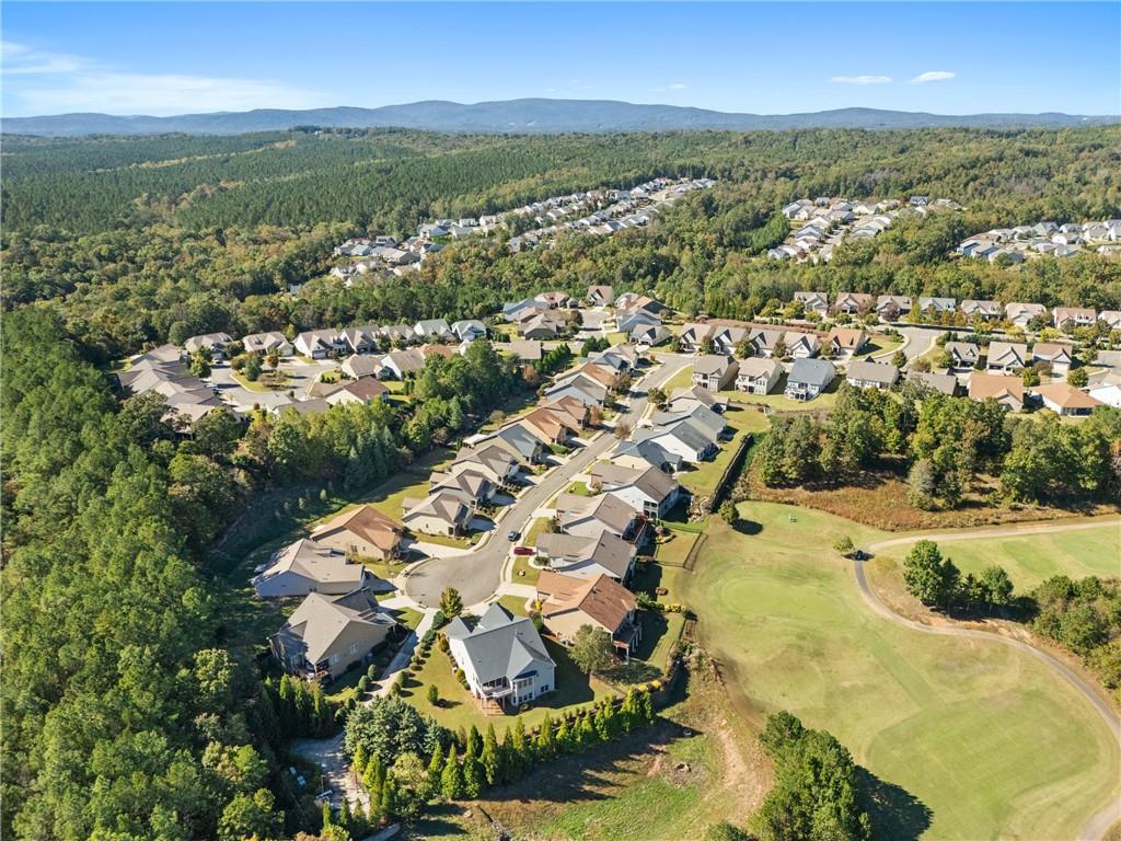319 Laurel Lookout Hills Canton, GA 30114 - Photo 77 of 80