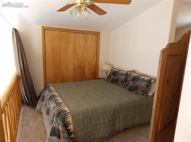 3818 Pathfinder Road Florissant, CO 80816 - Photo 18 of 35 Gallery Image 18