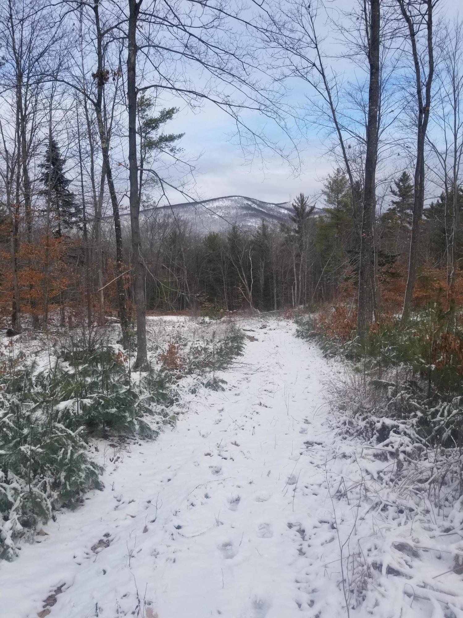 0 Davis Road Denmark, ME 04022 - Photo 3 of 5 Pleasant Mtn