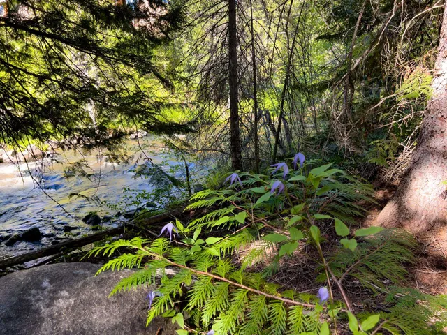 $454,500 | 1720 State Rte 20, Colville, WA 99114