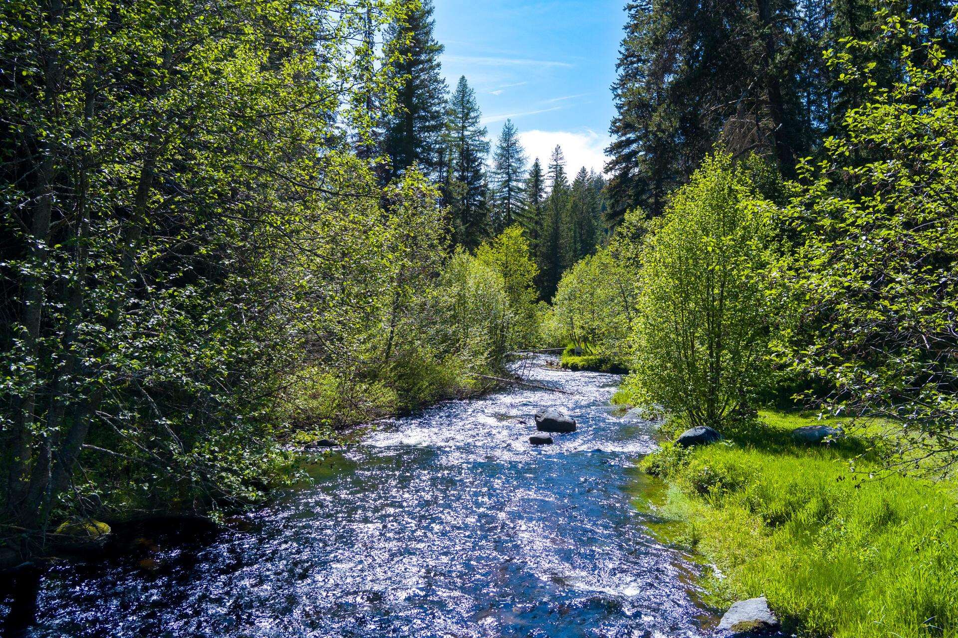 1720 State Rte 20 Colville, WA 99114 - Photo 8 of 41