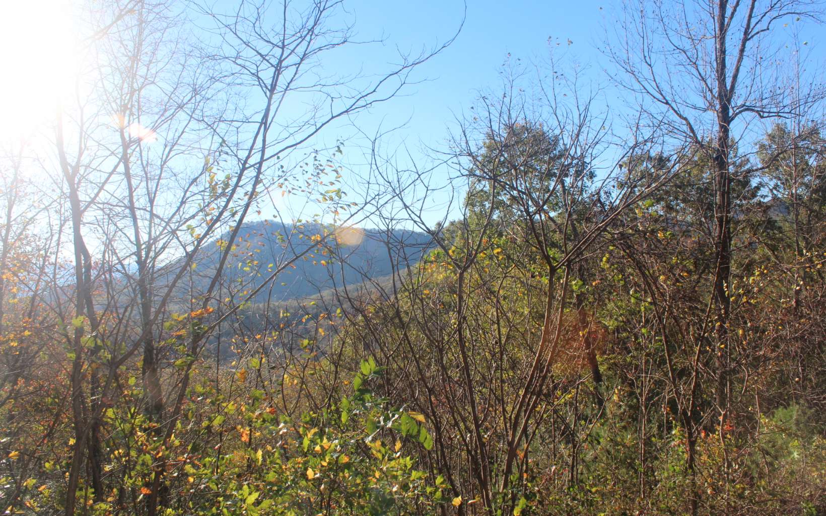 Lot 4 Tantrough Road Hiawassee, GA 30546 - Photo 1 of 1 Main View