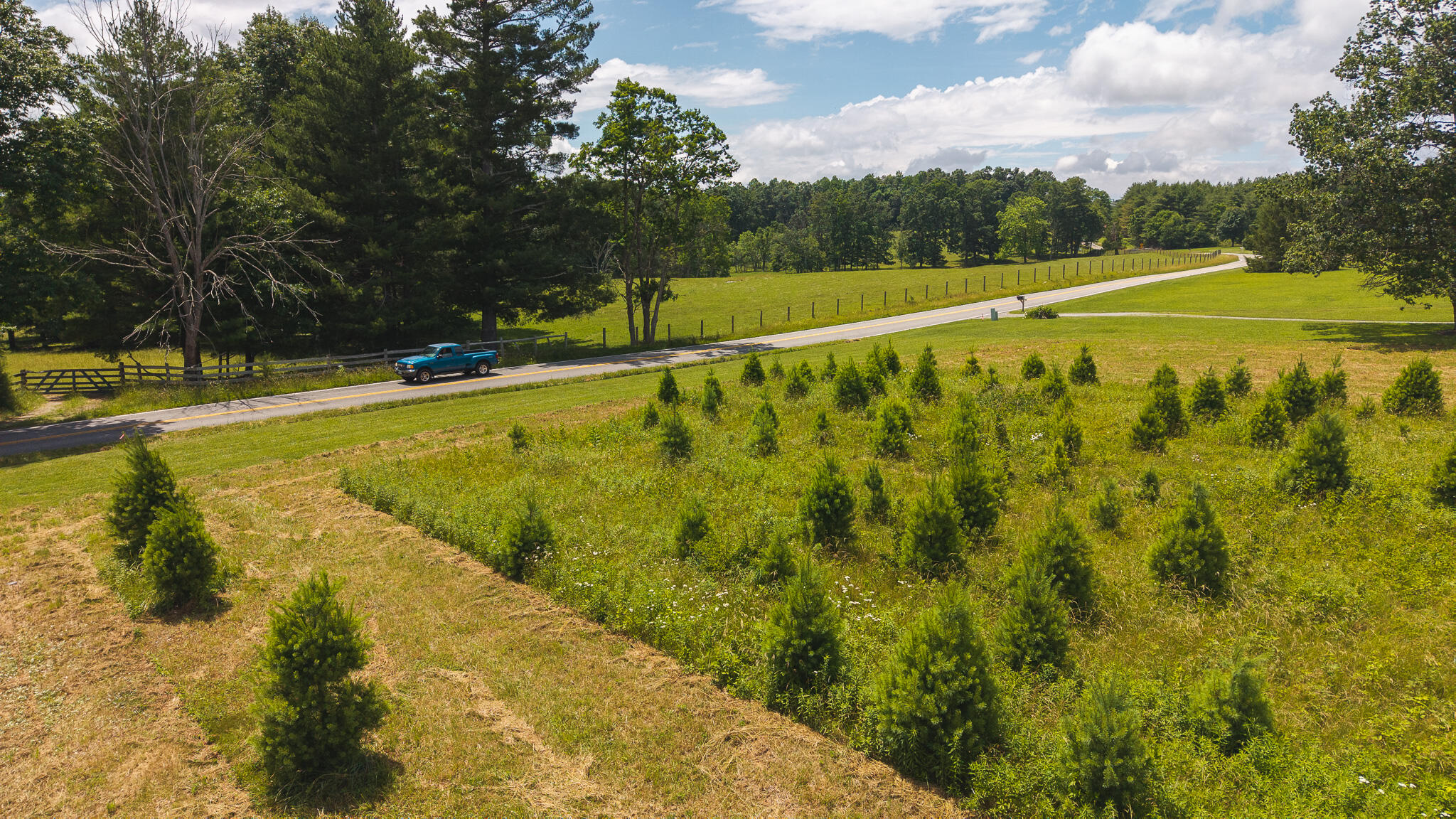 Tbd Alum Ridge Road Northwest Willis, VA 24380 - Photo 14 of 14 DJI_20250618143205_0478_D