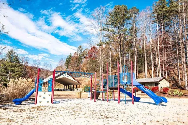 a view of park with large trees
