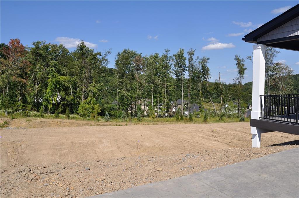 104 Eagle Rdg Road Cranberry Township, PA 16066 - Photo 10 of 18 a view of a yard with palm tree