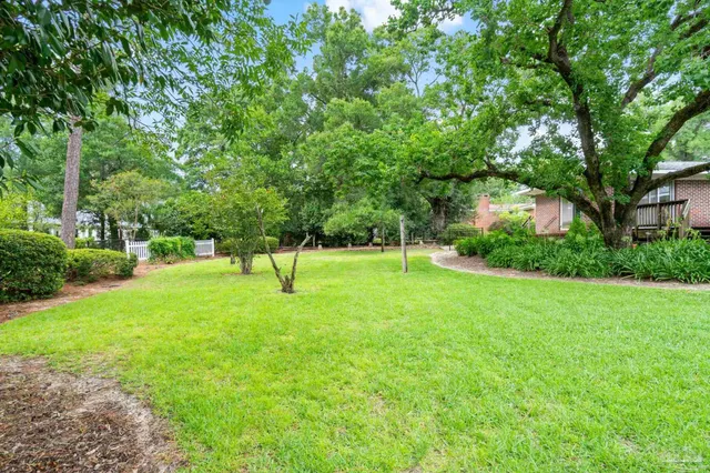 a view of a tree in a yard