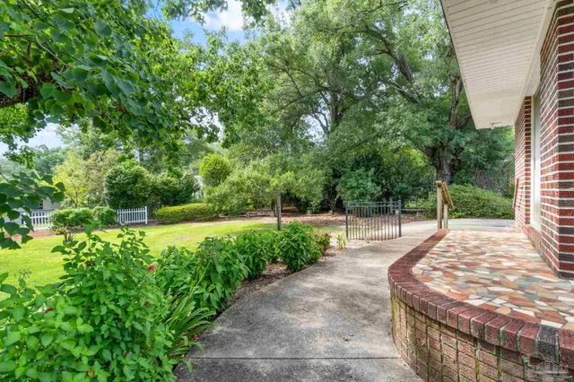 a view of a backyard