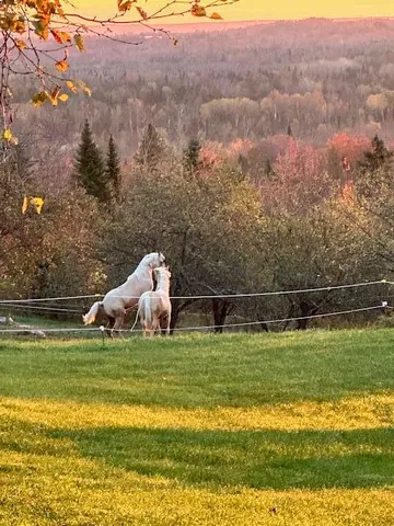 $269,900 | 231 Station Road, New Sweden, ME 04762