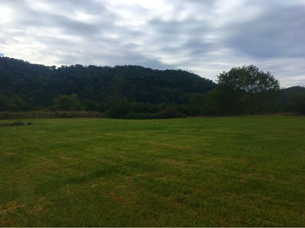 0 Shephards Chapel Road Rogersville, TN 37857 - Photo 1 of 8 Photo 1