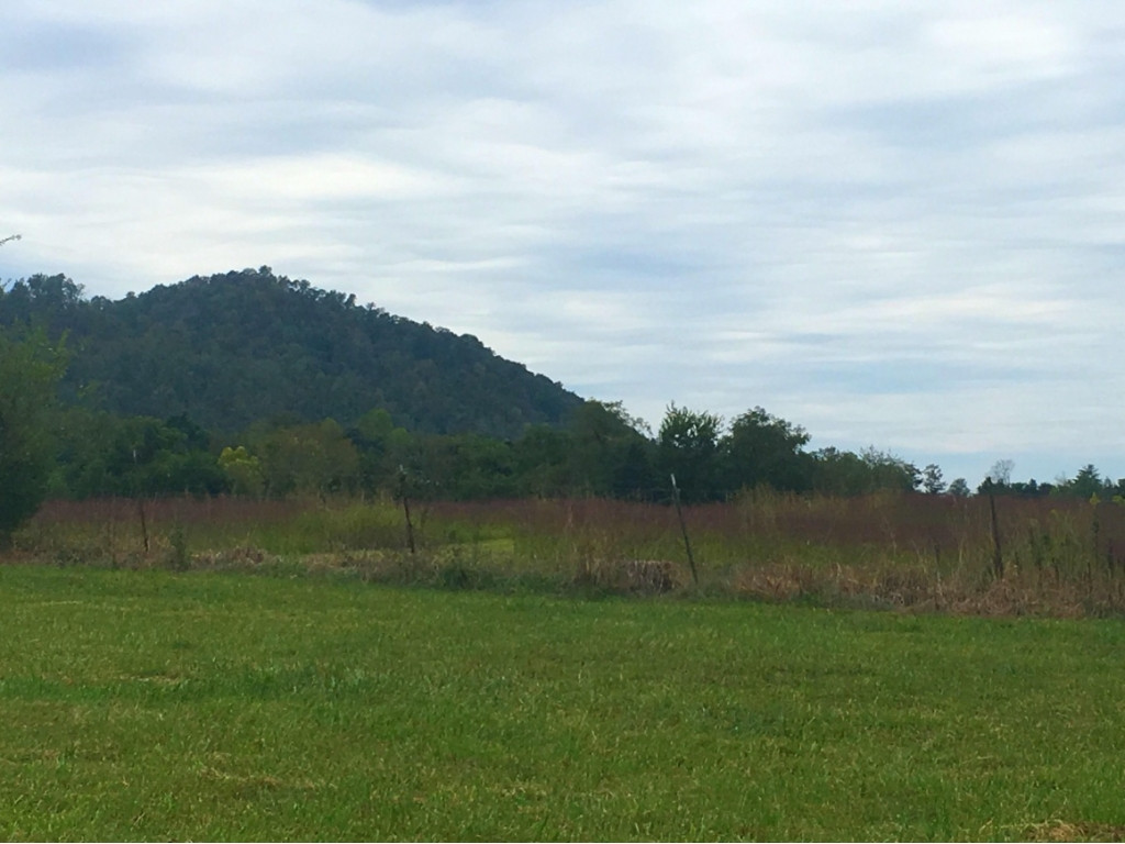 0 Shephards Chapel Road Rogersville, TN 37857 - Photo 5 of 8 Photo 6