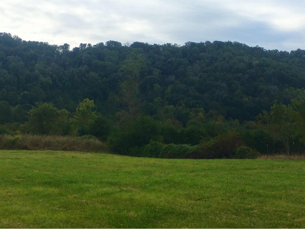 0 Shephards Chapel Road Rogersville, TN 37857 - Photo 7 of 8 Photo 8