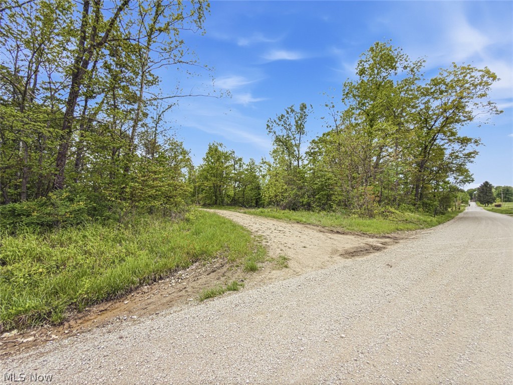 69-acres Newlon Road Malta, OH 43758 - Photo 3 of 20
