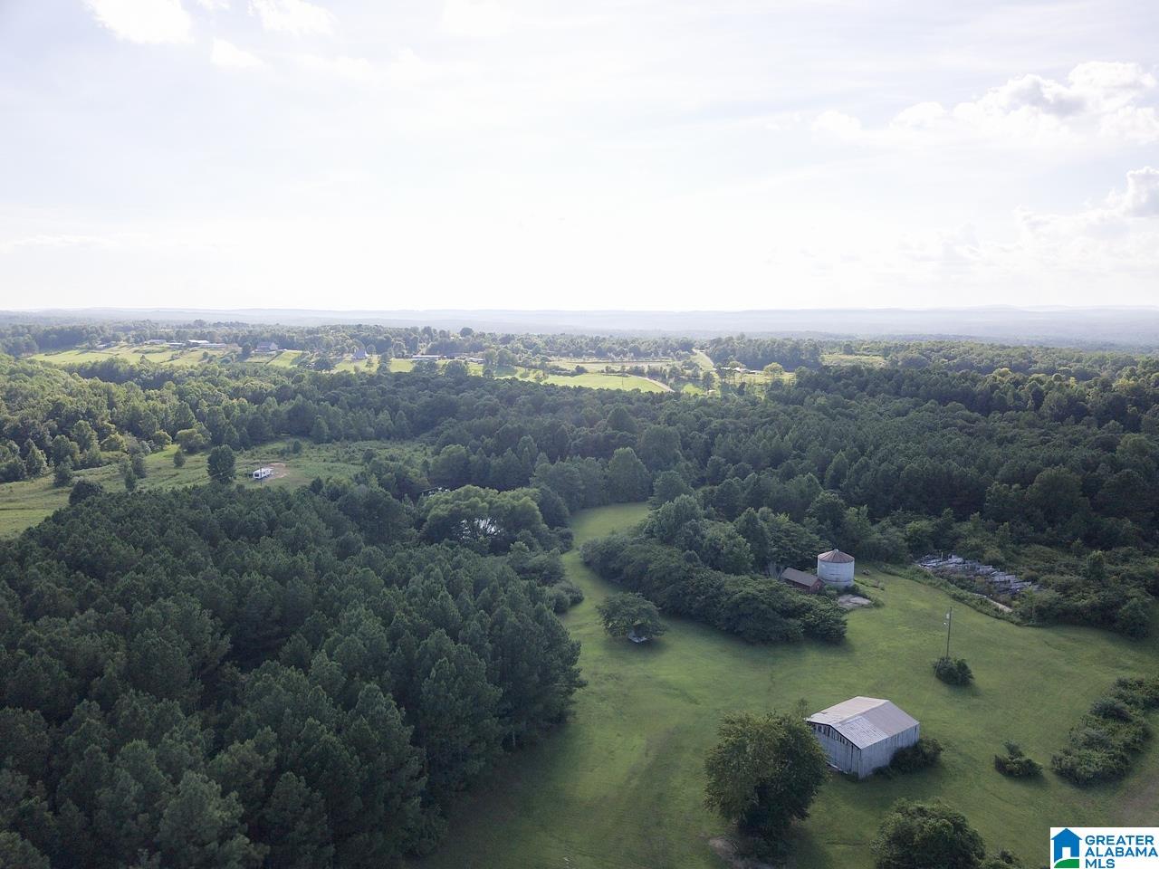 5015 Highway 24 Springville Al Springville, AL 35146 - Photo 44 of 44