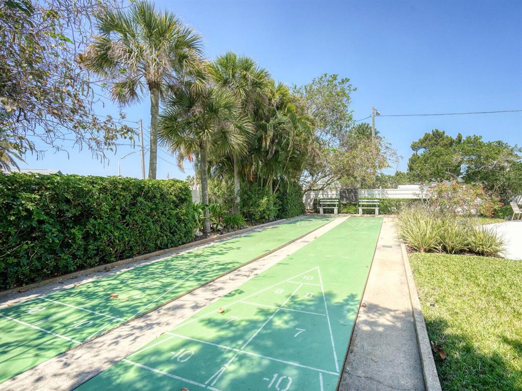 4939 Floramar Terrace, Unit 912 New Port Richey, FL 34652 - Photo 41 of 55 a view of yard with large trees