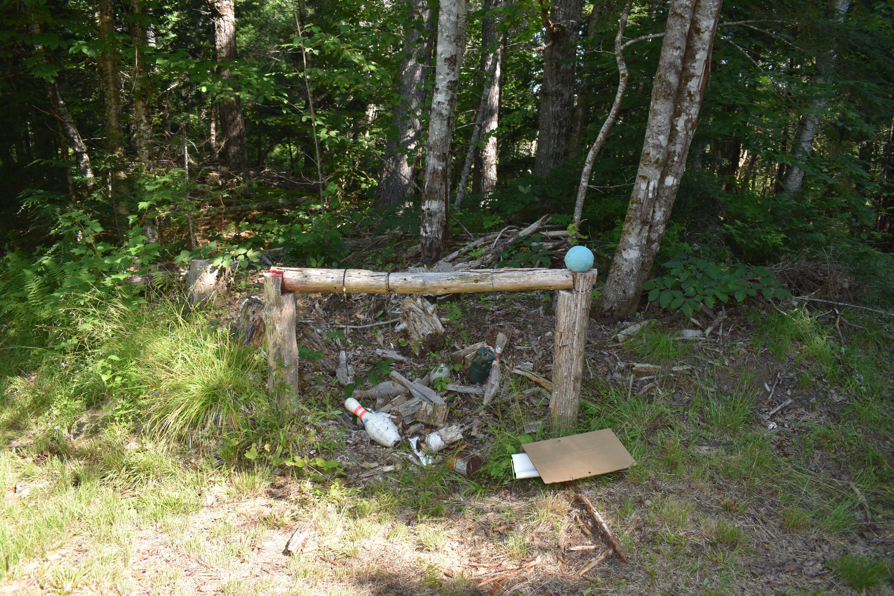 Lot 10-off Lot 10-off Town Line Road Springfield, ME 04487 - Photo 15 of 31 DSC_1096
