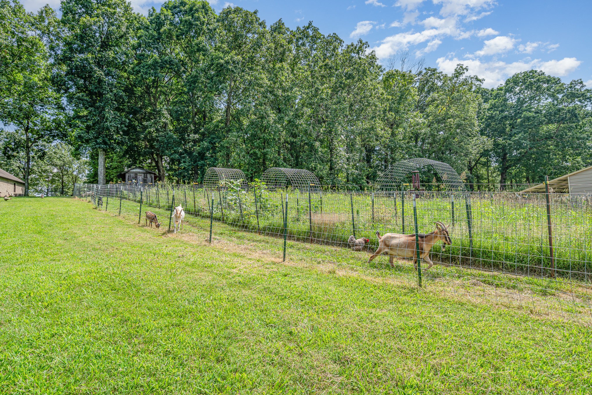 1640 Eno Road Dickson, TN 37055 - Photo 7 of 65