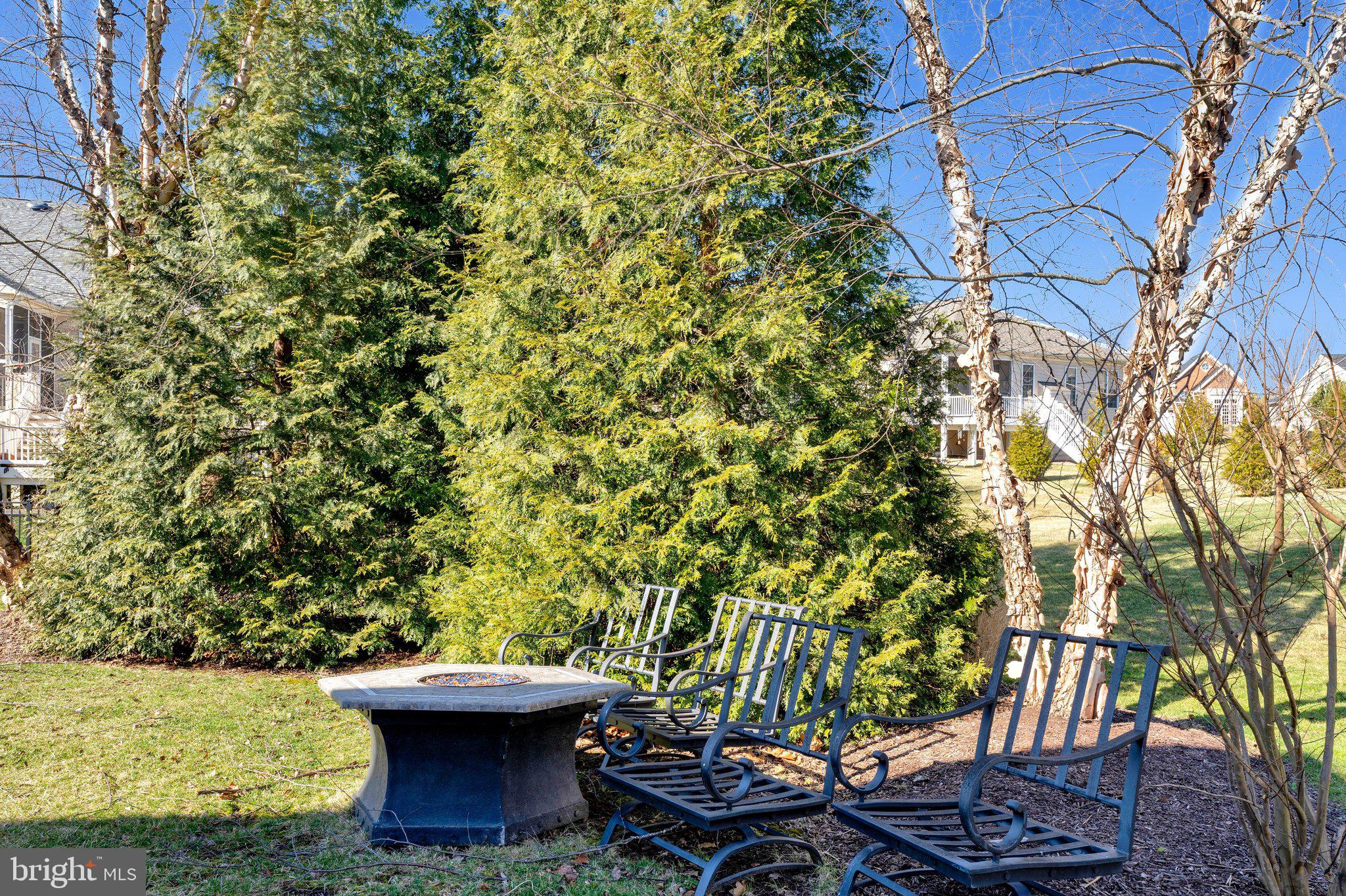15517 Legacy Way Haymarket, VA 20169 - Photo 49 of 68 a view of a backyard with plants and a fountain