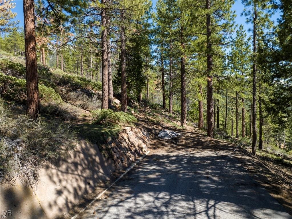 1065 Lucerne Way Incline Village, NV 89451 - Photo 16 of 20 a view of a forest filled with trees