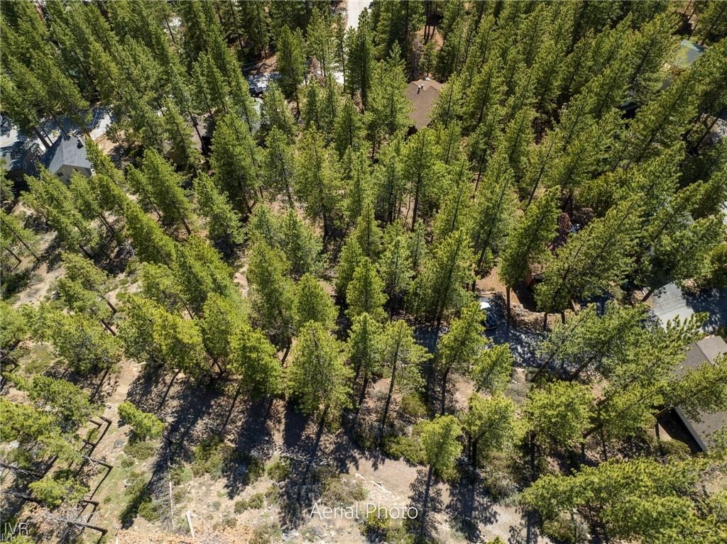 1065 Lucerne Way Incline Village, NV 89451 - Photo 18 of 20 a view of a house with a lush green forest