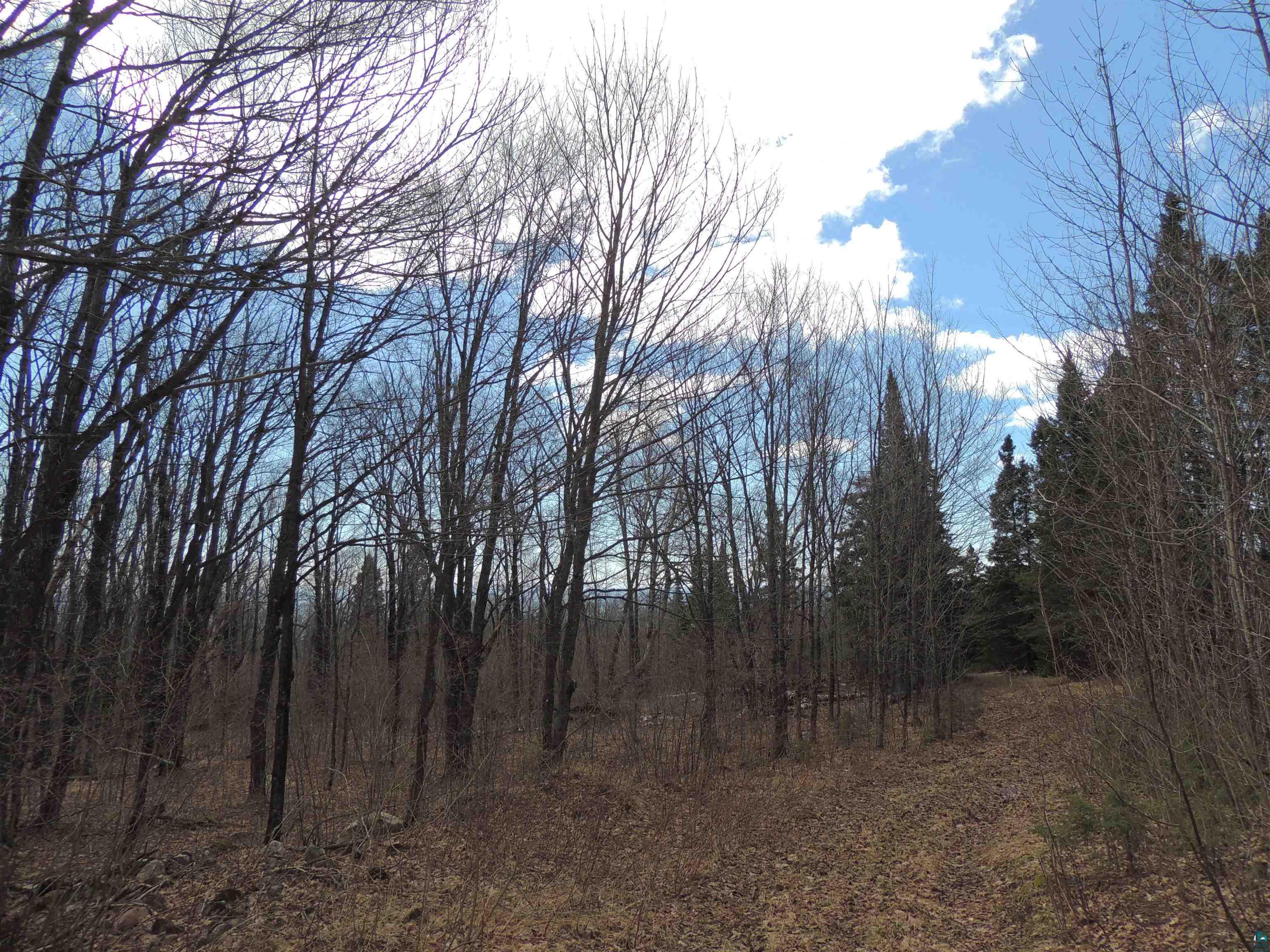 Xxx Springdale Road Tofte, MN 55615 - Photo 14 of 36