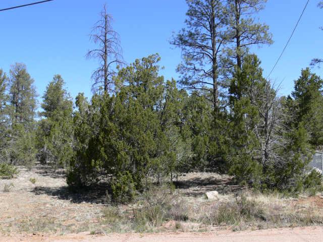 2 Cherokee Strip Road, Unit 16 Overgaard, AZ 85933 - Photo 1 of 1 Primary Photo