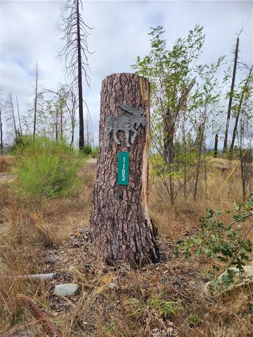 a view of a yard in front of a house