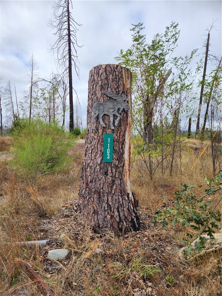a view of a yard in front of a house