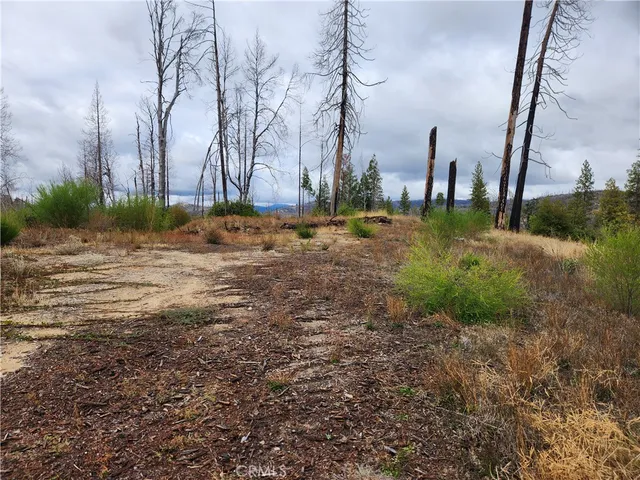 a view of a yard with a fountain