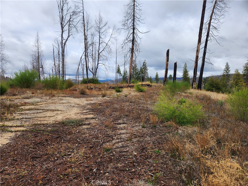 1103 Bald Rock Road Berry Creek, CA 95916 - Photo 2 of 7 a view of a yard with a fountain