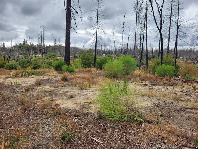a view of backyard with green space