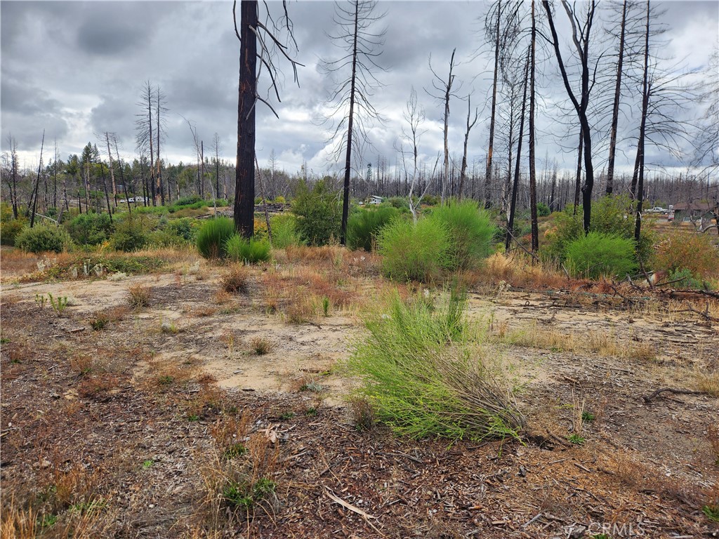 1103 Bald Rock Road Berry Creek, CA 95916 - Photo 3 of 7 a view of backyard with green space