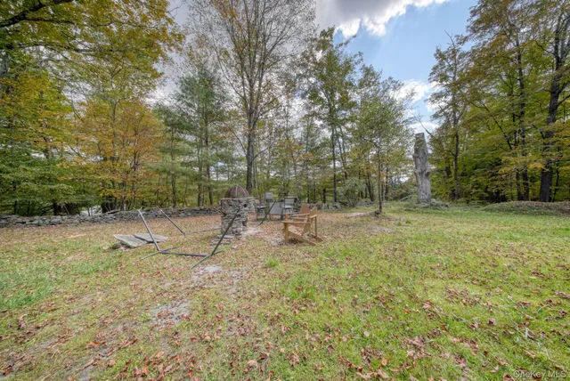 a view of backyard with green space