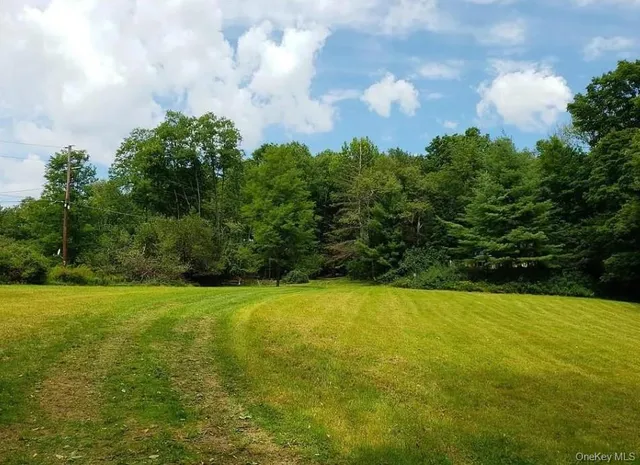 a view of a field with an trees in the background
