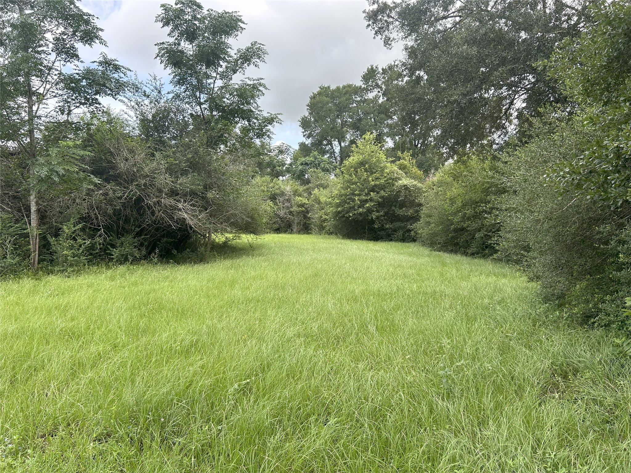 Tbd Holik Road Hempstead, TX 77445 - Photo 41 of 50