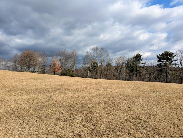2550 Stonewall Road Northeast Check, VA 24072 - Photo 6 of 22 a view of dirt field and trees in the background