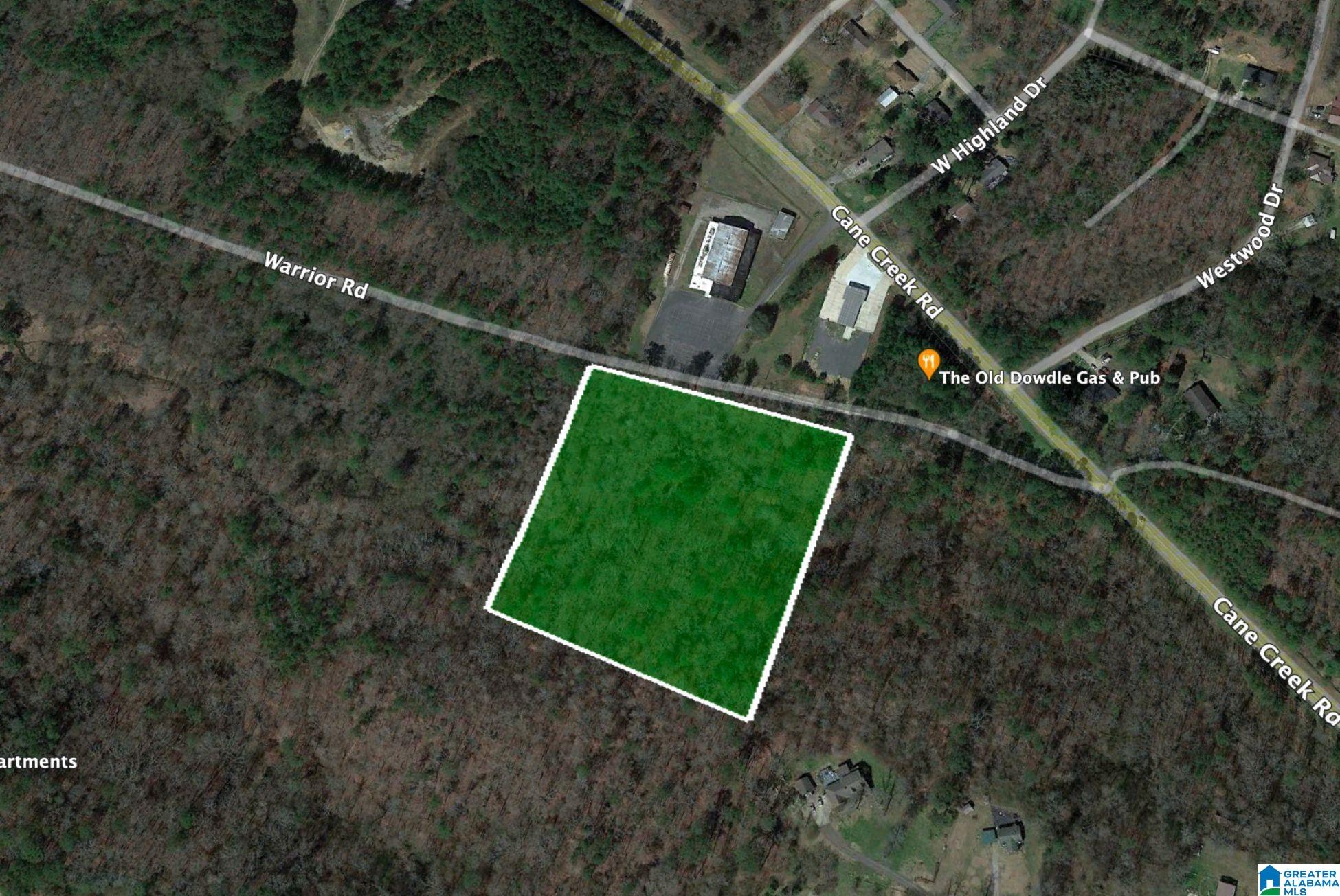166 Warrior Robbins Road, Unit 6 4 ACRES Warrior, AL 35180 - Photo 16 of 17