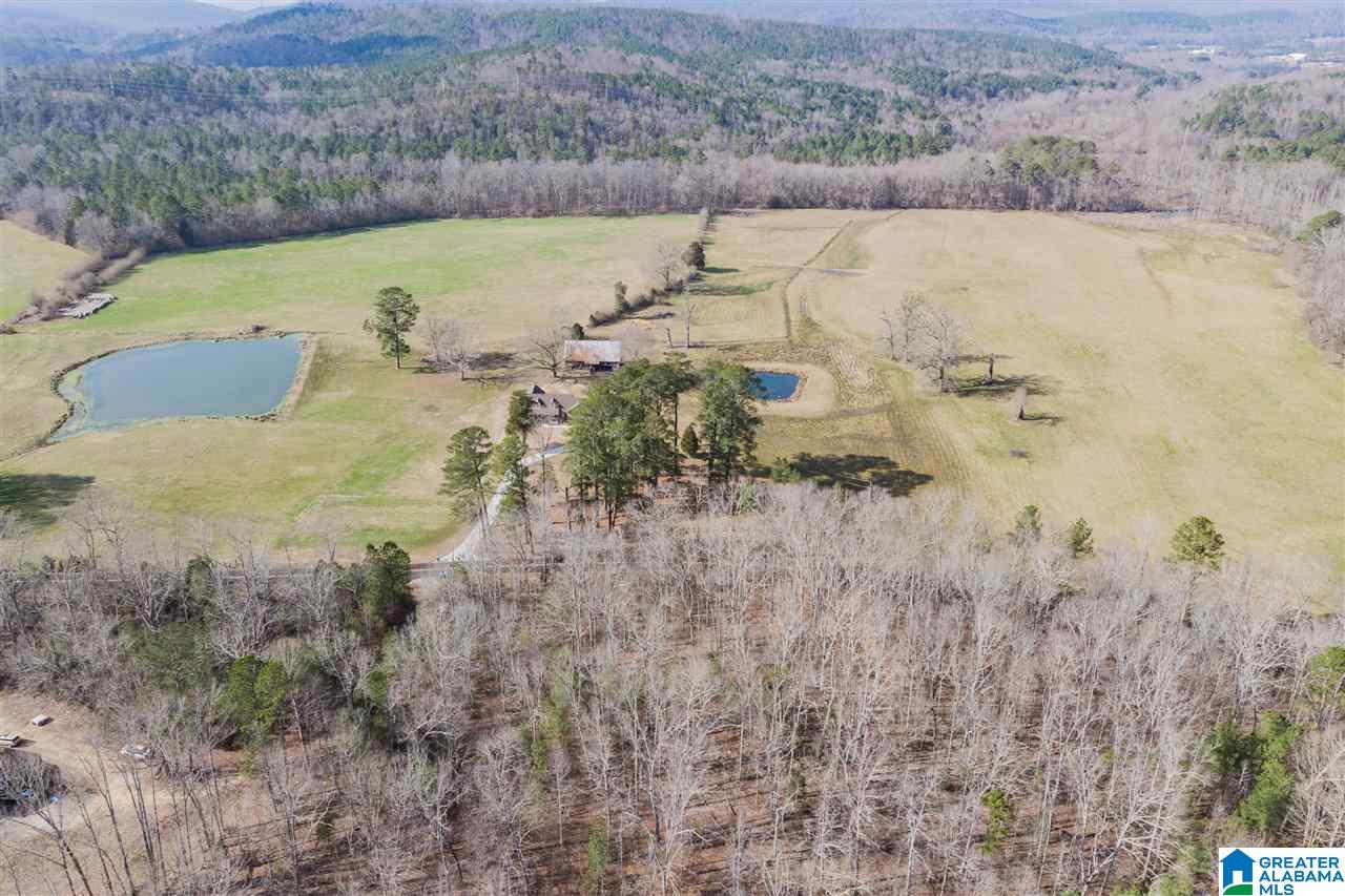 3484 Springville Boulevard Oneonta, AL 35121 - Photo 44 of 49